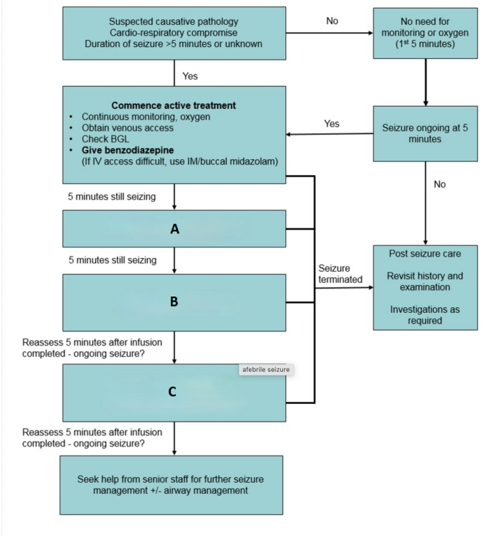 Paediatric seizure-care flowchart with blank A, B and C steps.