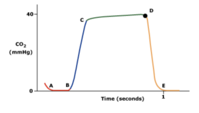 Normal capnography waveform labelled A to E.